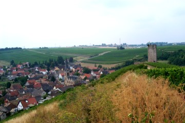 Schwabsburg