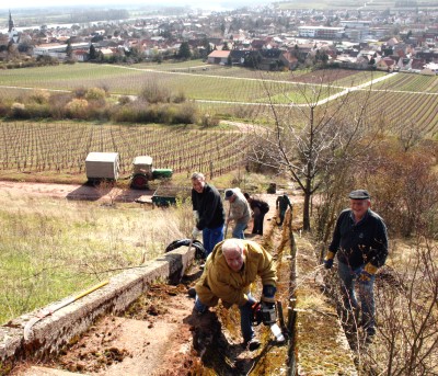 Frühjahrsputz in den Himmelstreppchen