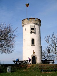 Niersteiner Wartturm